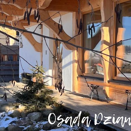 Osada Dzianisz N°54 Villa Kültér fotó